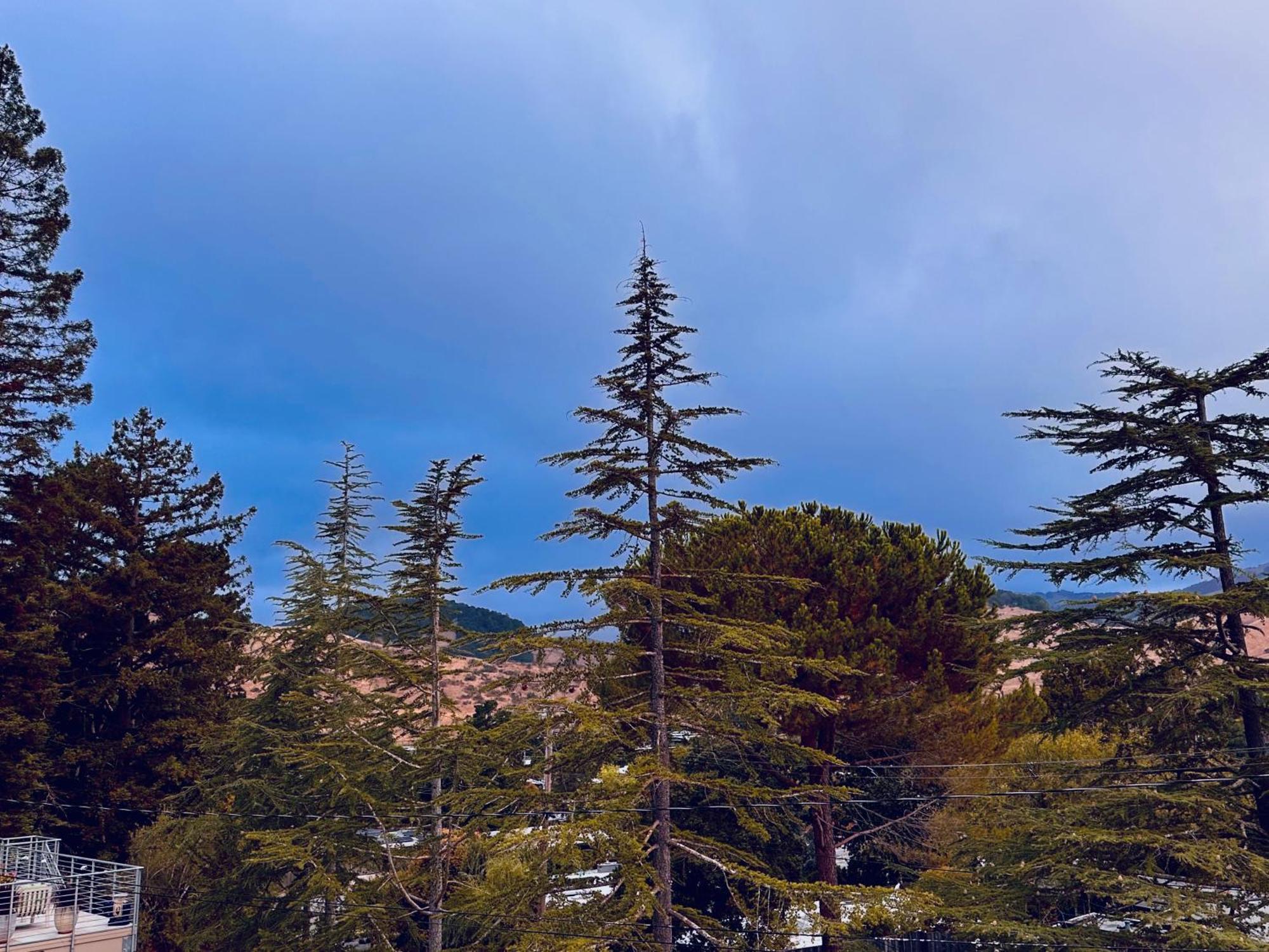 Luxury Suite With Views - San Rafael, Gateway To Sf & Wine Country Exteriör bild